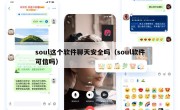 soul这个软件聊天安全吗（soul软件可信吗）
