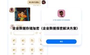 企业数据存储加密（企业数据保密解决方案）