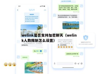 welink是否支持加密聊天（welink人数限制怎么设置）