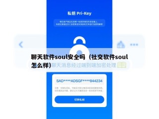 聊天软件soul安全吗（社交软件soul怎么样）