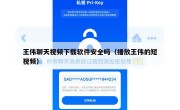 王伟聊天视频下载软件安全吗（播放王伟的短视频）