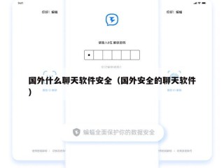国外什么聊天软件安全（国外安全的聊天软件）