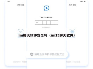 im聊天软件安全吗（im15聊天软件）