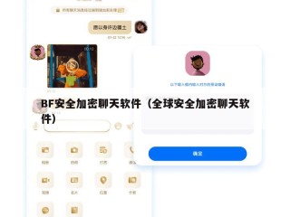 BF安全加密聊天软件（全球安全加密聊天软件）