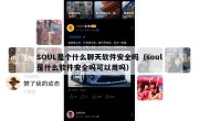SOUL是个什么聊天软件安全吗（soul是什么软件安全吗可以用吗）
