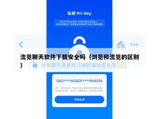 流览聊天软件下载安全吗（浏览和流览的区别）
