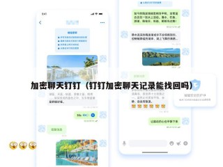 加密聊天钉钉（钉钉加密聊天记录能找回吗）