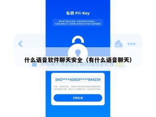 什么语音软件聊天安全（有什么语音聊天）