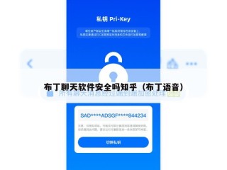 布丁聊天软件安全吗知乎（布丁语音）