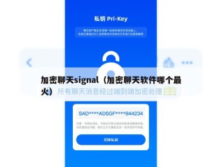 加密聊天signal（加密聊天软件哪个最火）