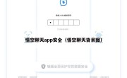 悟空聊天app安全（悟空聊天背景图）