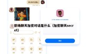 职场聊天加密对话是什么（加密聊天secret）