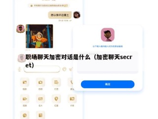 职场聊天加密对话是什么（加密聊天secret）