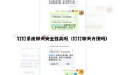 钉钉系统聊天安全性高吗（钉钉聊天方便吗）