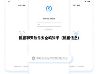 鲲鹏聊天软件安全吗知乎（鲲鹏信息）