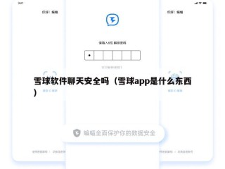 雪球软件聊天安全吗（雪球app是什么东西）
