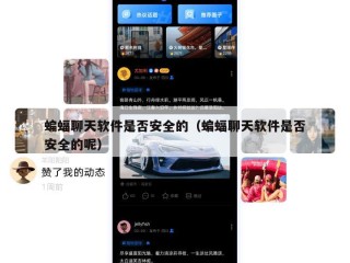 蝙蝠聊天软件是否安全的（蝙蝠聊天软件是否安全的呢）