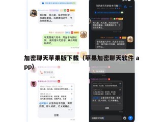 加密聊天苹果版下载（苹果加密聊天软件 app）