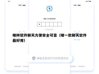 哪种软件聊天方便安全可靠（哪一款聊天软件最好用）