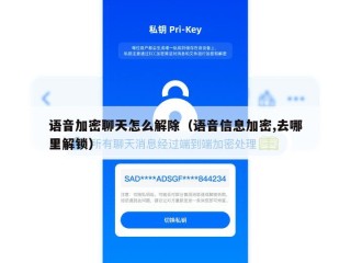 语音加密聊天怎么解除（语音信息加密,去哪里解锁）