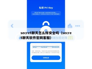 secret聊天怎么样安全吗（secret聊天软件官网客服）