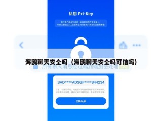 海鸥聊天安全吗（海鸥聊天安全吗可信吗）