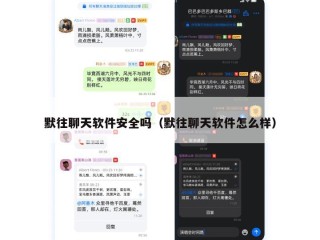 默往聊天软件安全吗（默往聊天软件怎么样）