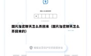 图片加密聊天怎么弄回来（图片加密聊天怎么弄回来的）