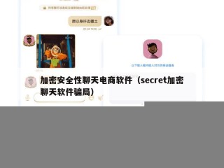 加密安全性聊天电商软件（secret加密聊天软件骗局）