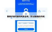 联网手表可聊天吗安全吗（可以联网的手表）
