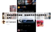 蝙蝠加密聊天破解（蝙蝠聊天软件忘记密码怎么办）