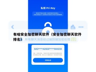 有啥安全加密聊天软件（安全加密聊天软件 排名）