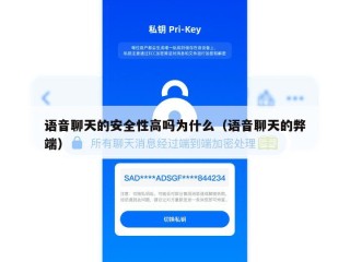 语音聊天的安全性高吗为什么（语音聊天的弊端）