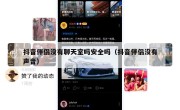 抖音伴侣没有聊天室吗安全吗（抖音伴侣没有声音）
