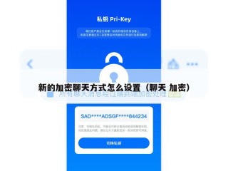 新的加密聊天方式怎么设置（聊天 加密）