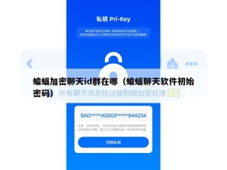 蝙蝠加密聊天id群在哪（蝙蝠聊天软件初始密码）