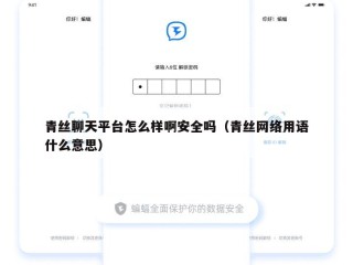 青丝聊天平台怎么样啊安全吗（青丝网络用语什么意思）