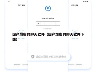 国产加密的聊天软件（国产加密的聊天软件下载）
