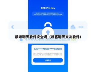 爪哇聊天软件安全吗（哇塞聊天交友软件）