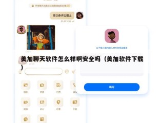 美加聊天软件怎么样啊安全吗（美加软件下载）