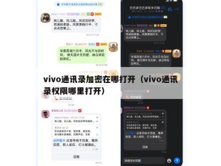vivo通讯录加密在哪打开（vivo通讯录权限哪里打开）