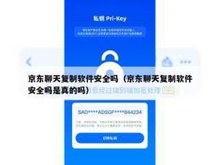 京东聊天复制软件安全吗（京东聊天复制软件安全吗是真的吗）