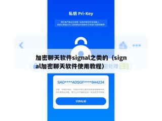 加密聊天软件signal之类的（signal加密聊天软件使用教程）