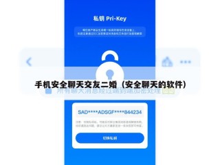手机安全聊天交友二婚（安全聊天的软件）
