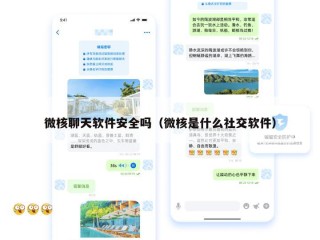 微核聊天软件安全吗（微核是什么社交软件）