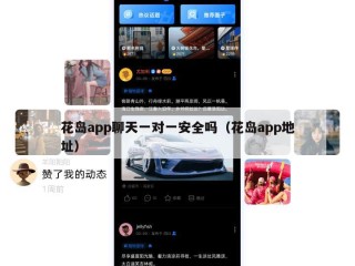 花岛app聊天一对一安全吗（花岛app地址）