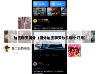 加密聊天国外（国外加密聊天软件哪个好用）