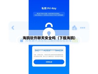 海鸥软件聊天安全吗（下载海鸥）