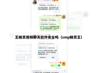 王精灵视频聊天软件安全吗（smp精灵王）