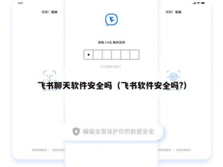 飞书聊天软件安全吗（飞书软件安全吗?）